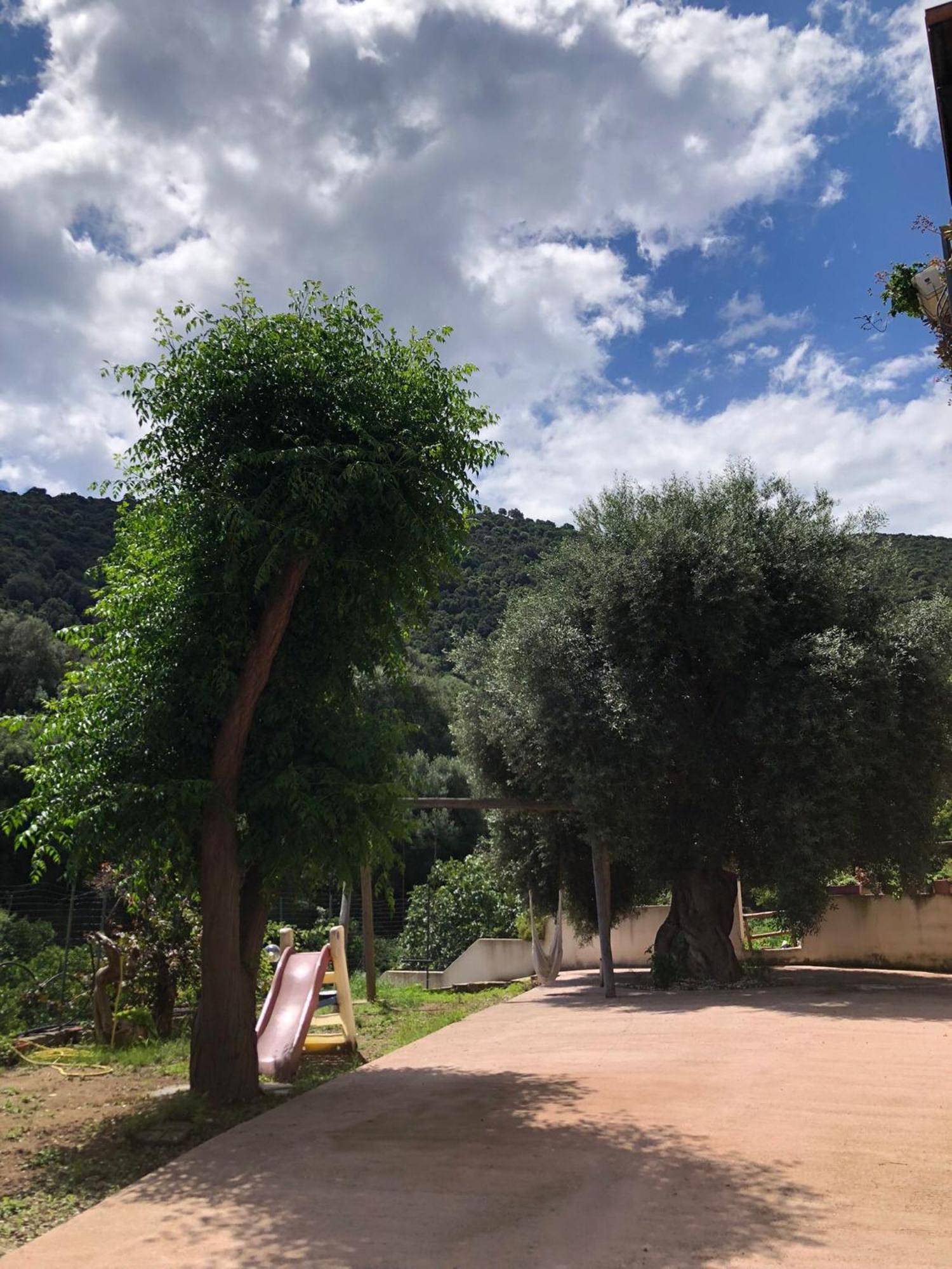 Appartamento Maremontagna Cardedu Extérieur photo