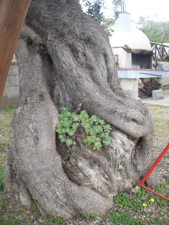 Appartamento Maremontagna Cardedu Extérieur photo