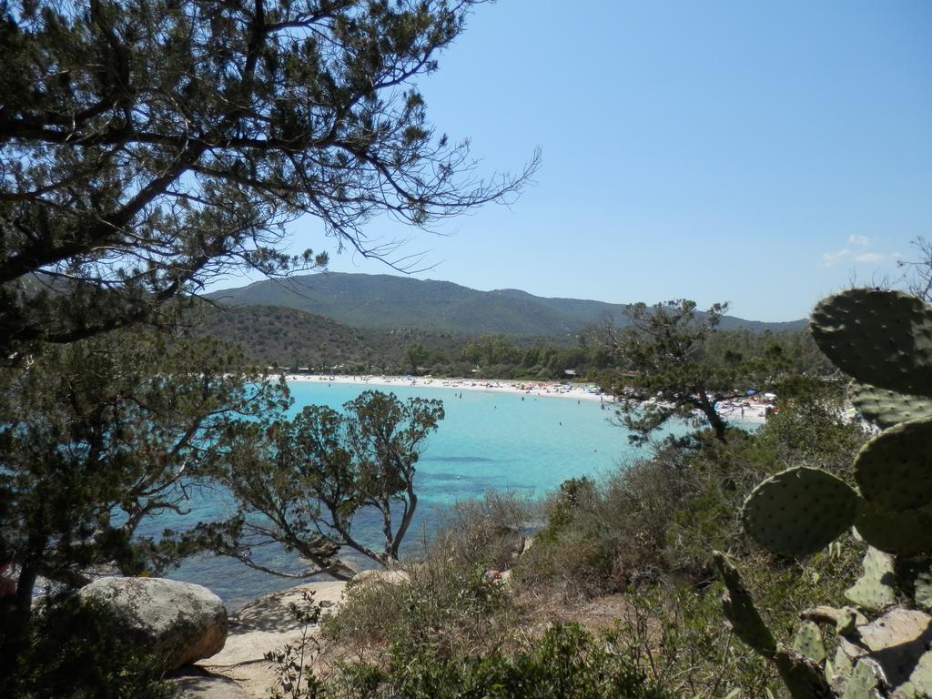 Appartamento Maremontagna Cardedu Extérieur photo